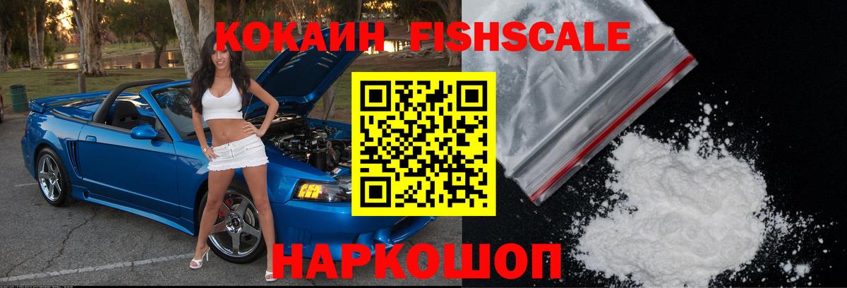 Каменск-Шахтинский  COCAIN Fish Scale  Вход с VPN 